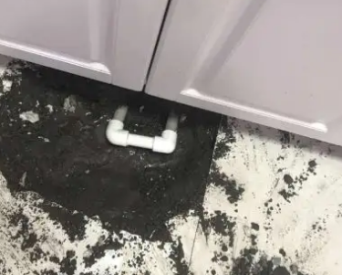 定州查漏水哪家好
