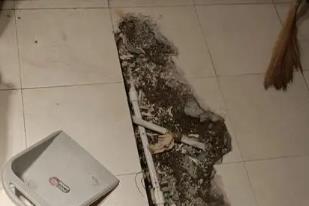 定州卫生间漏水检测电话